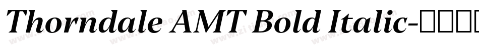 Thorndale AMT Bold Italic字体转换